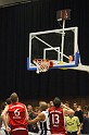 UBC Tigers281109   007